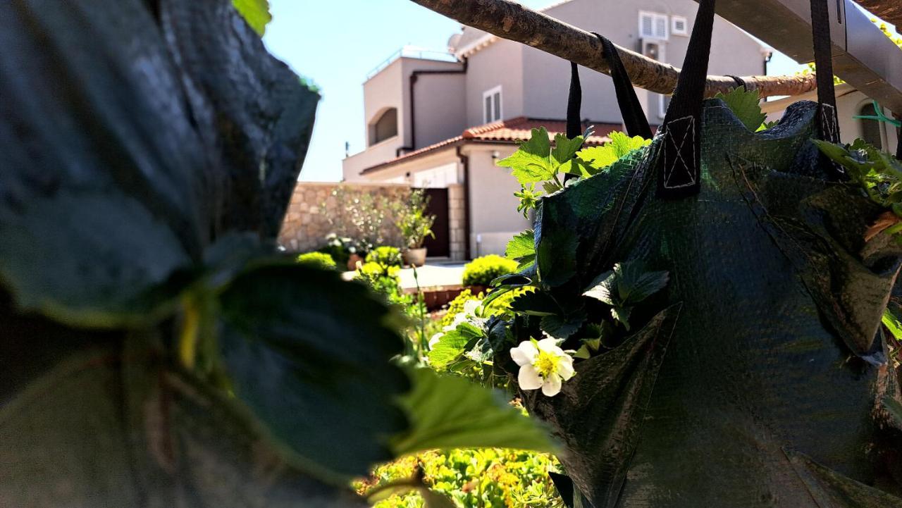 Dubrovnik Airport Apartment Tea Durovici Extérieur photo